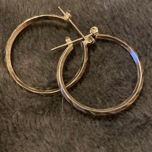 Hoop earrings (AL)